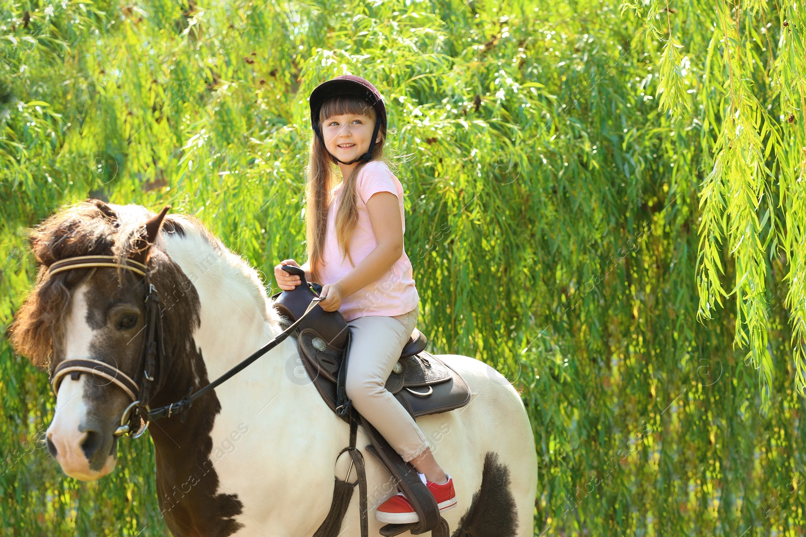Photo of Cute little girl riding pony in green park