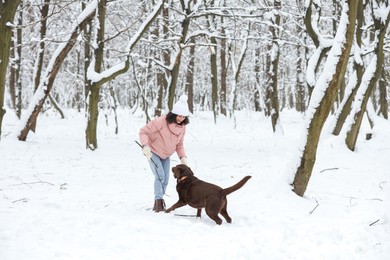 Woman playing with adorable Labrador Retriever dog in snowy park