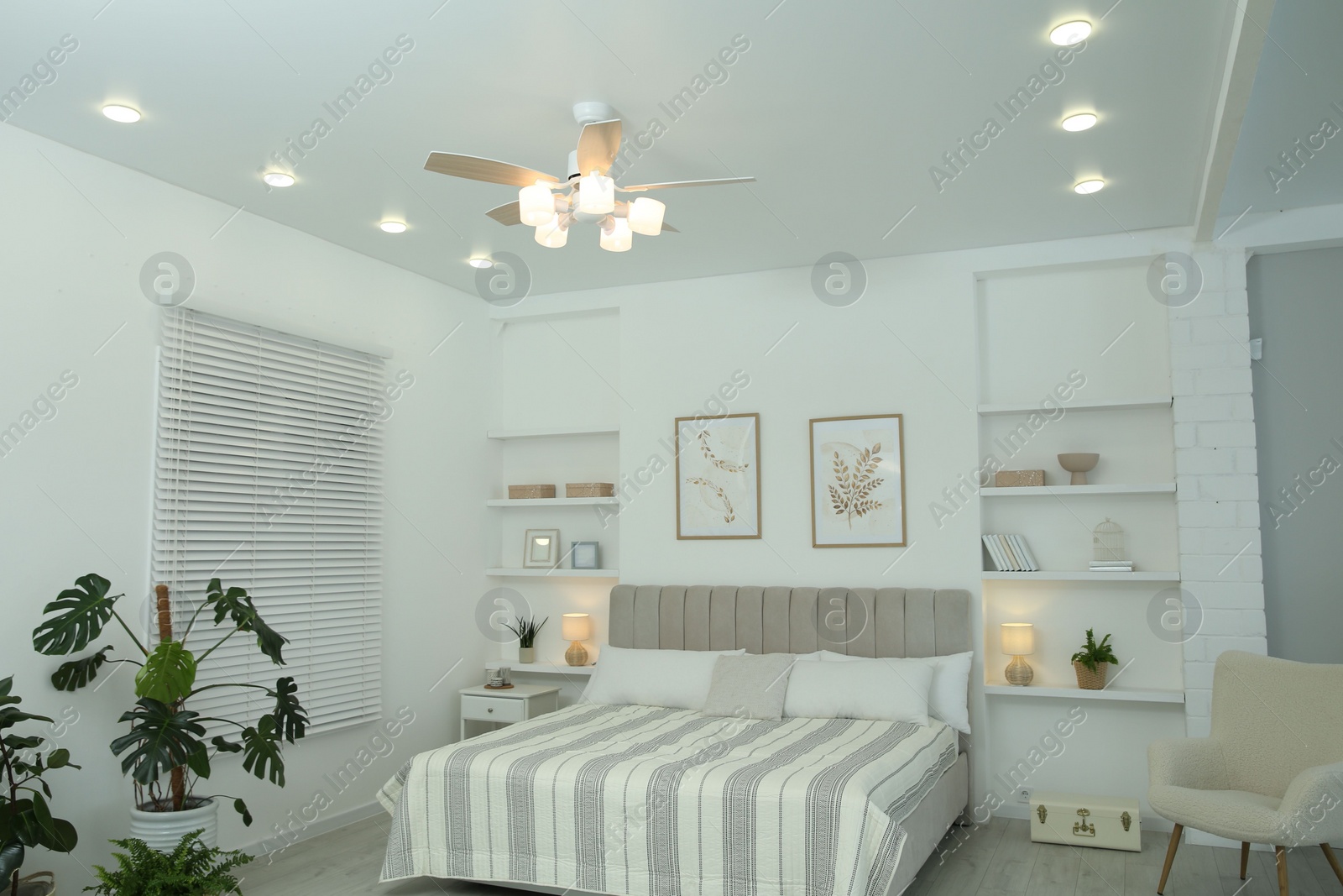 Photo of Comfortable furniture, ceiling fan, houseplants and accessories in stylish bedroom