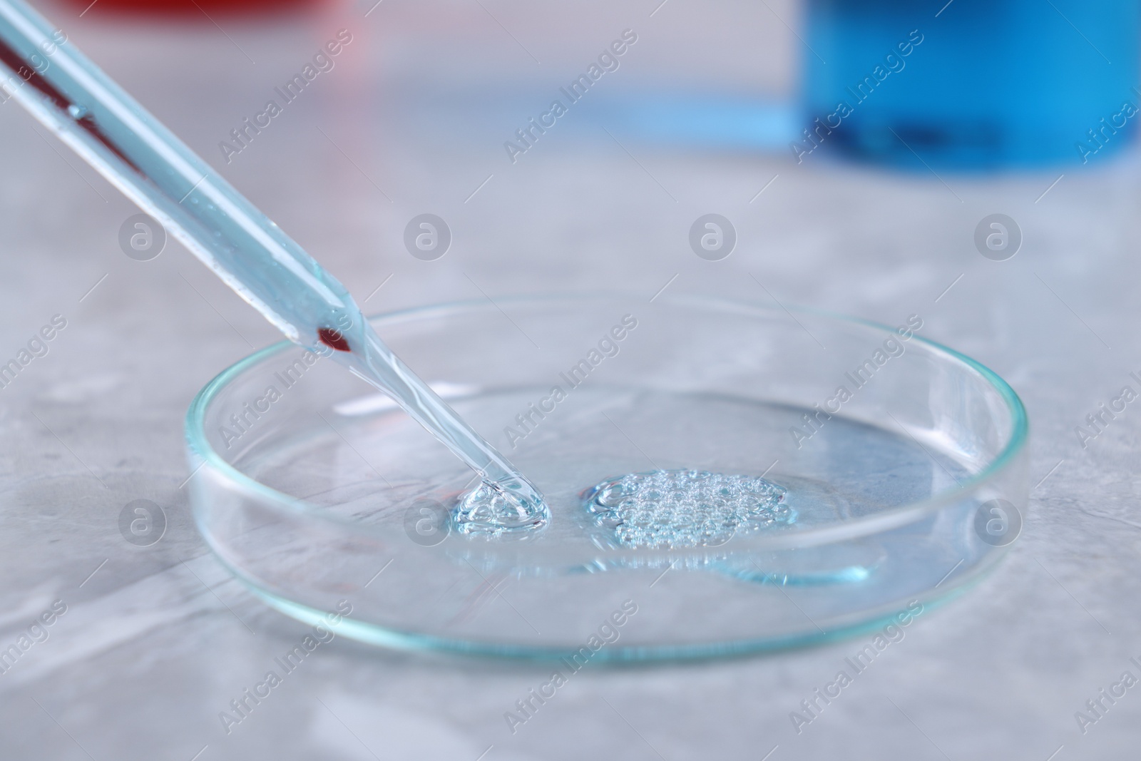 Photo of Glass pipette and petri dish with liquid on grey marble table, closeup