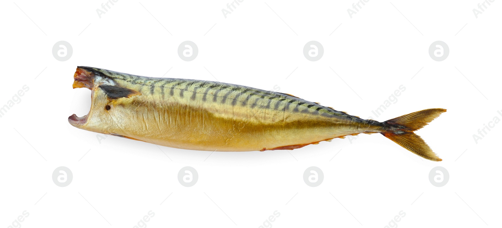 Photo of Delicious smoked mackerel isolated on white, top view