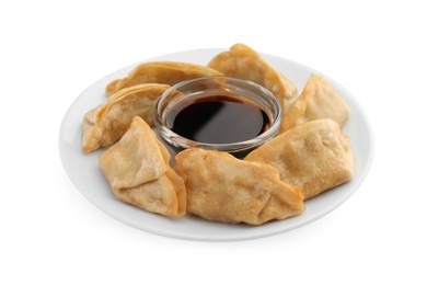 Photo of Delicious gyoza (asian dumplings) with soy sauce isolated on white