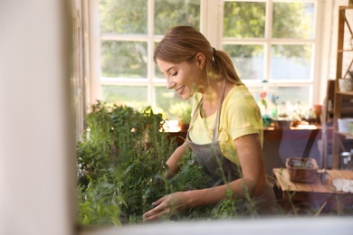 Young woman taking care of home plants in shop, view through window