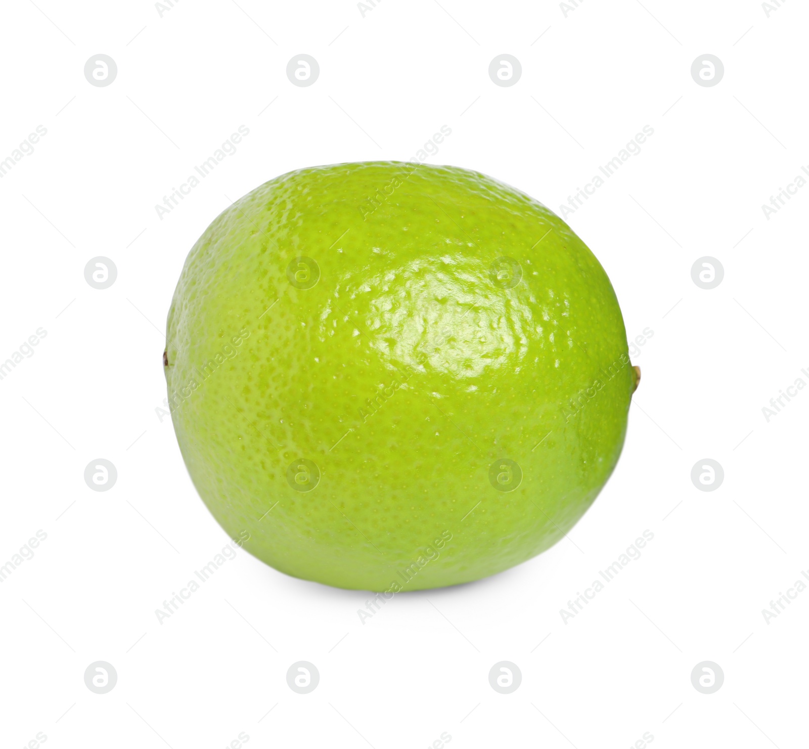 Photo of Citrus fruit. One fresh lime isolated on white