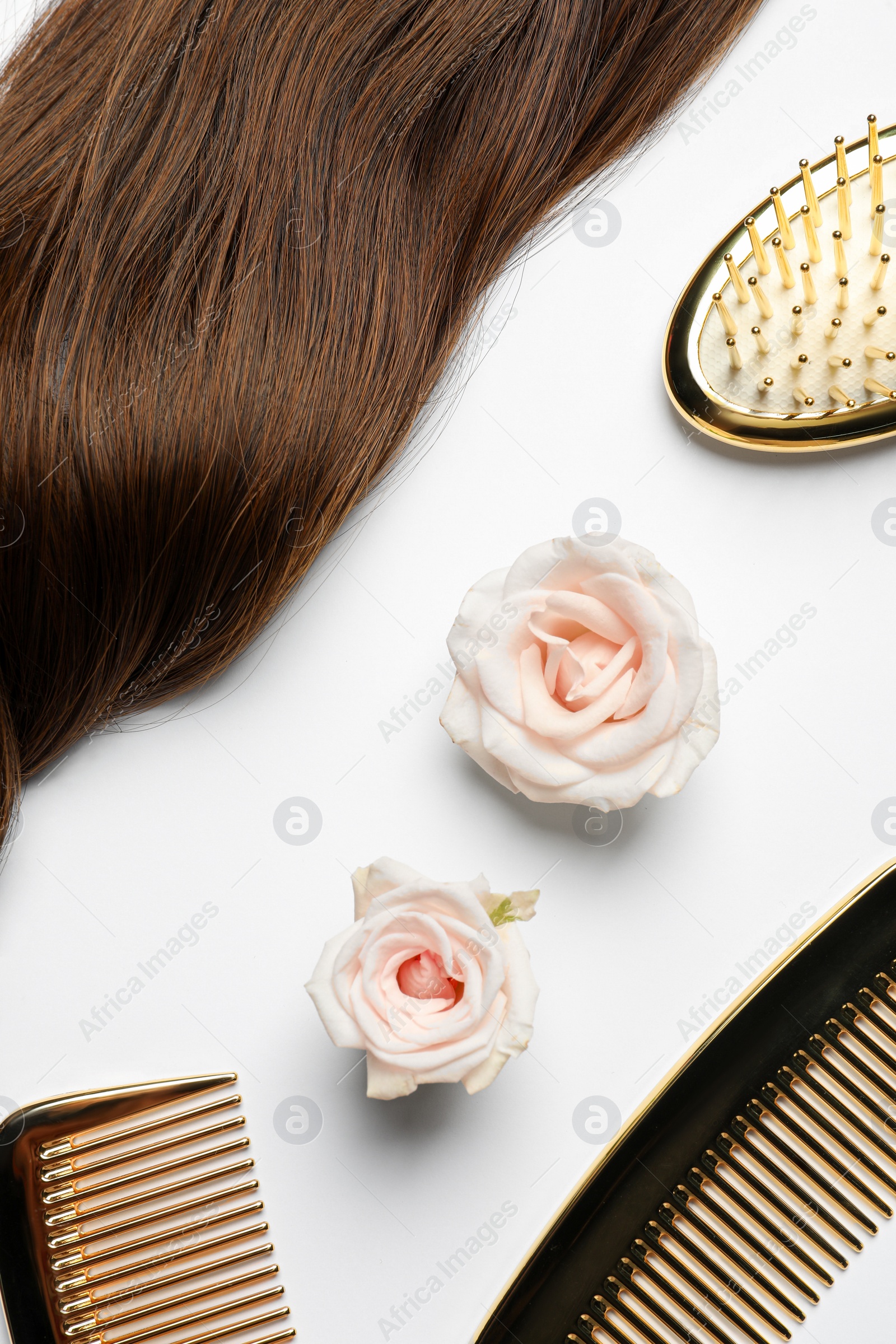 Photo of Hairdresser tools. Brown hair lock, combs, brush and flowers on white background, flat lay