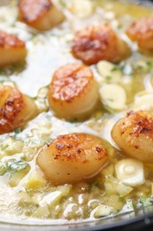 Photo of Fried scallops with sauce in dish, closeup