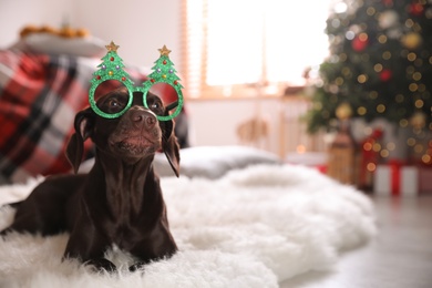 Photo of Cute dog wearing Christmas eyeglasses at home, space for text