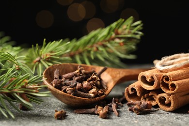 Wooden spoon with different spices and fir branches on gray table, closeup