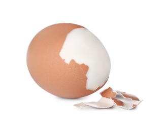 Fresh boiled egg and shell on white background