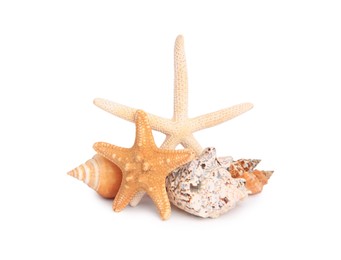 Photo of Beautiful sea stars and shells isolated on white