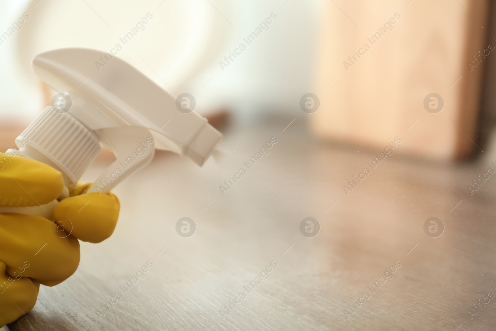 Photo of Person in gloves spraying detergent onto wooden table indoors, closeup. Space for text