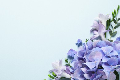 Photo of Beautiful composition with hortensia flowers on light background, flat lay. Space for text