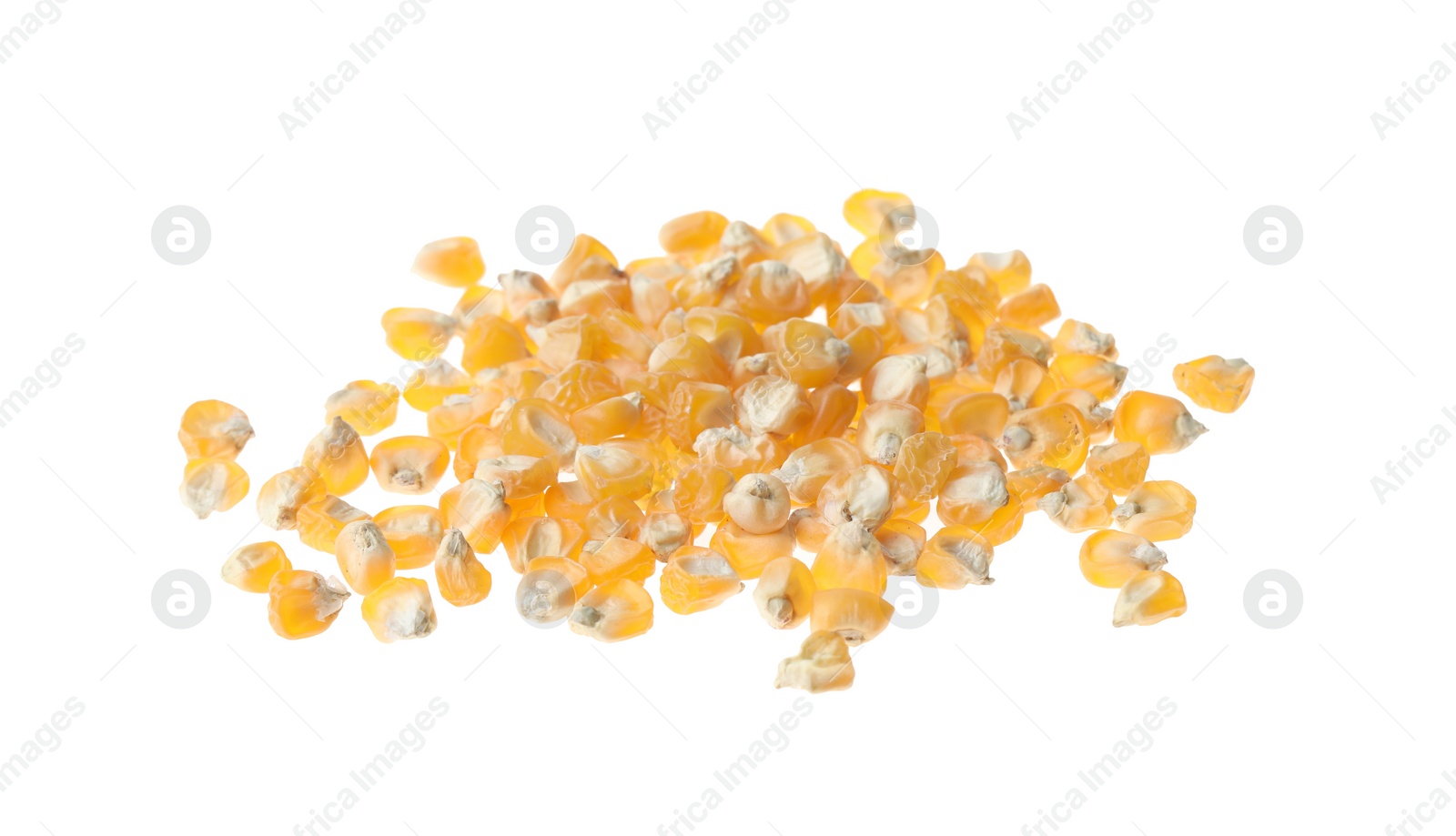 Photo of Pile of raw dry corn seeds on white background. Vegetable planting