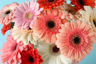 Photo of Bouquet of beautiful colorful gerbera flowers on light blue background, closeup