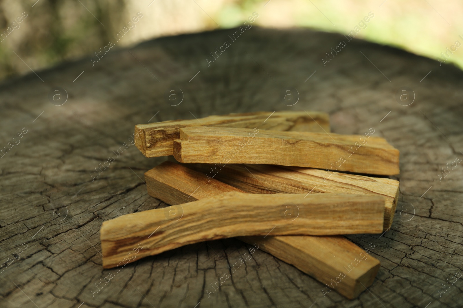 Photo of Palo santo sticks on wooden stump outdoors, closeup