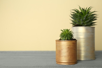 Beautiful houseplants in tin cans on grey wooden table. Space for text