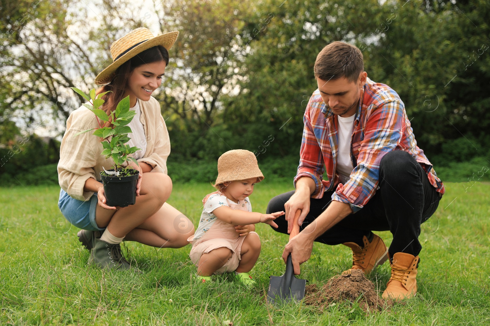 Photo of Family planting young tree together in garden