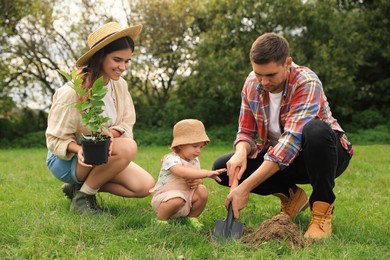 Photo of Family planting young tree together in garden