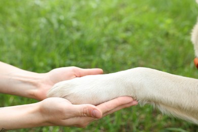 Photo of Dog giving paw to woman outdoors, closeup