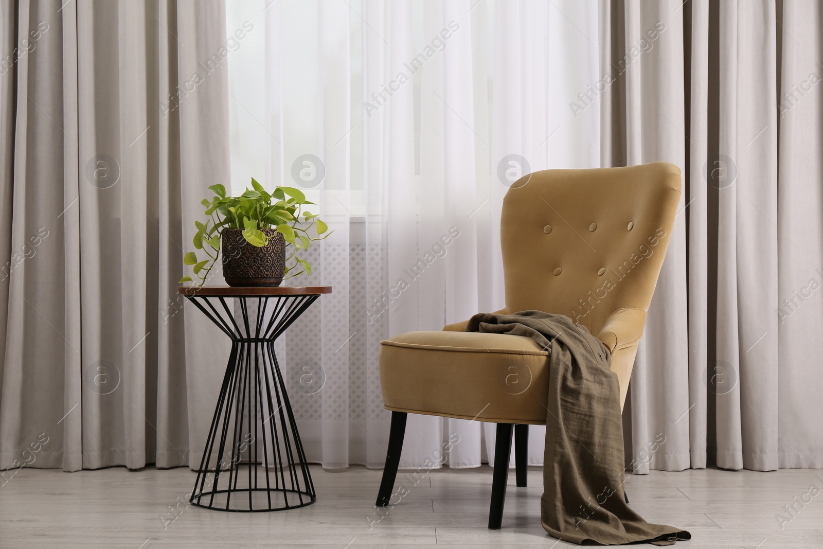 Photo of Comfortable armchair and green plant near window in room. Interior design