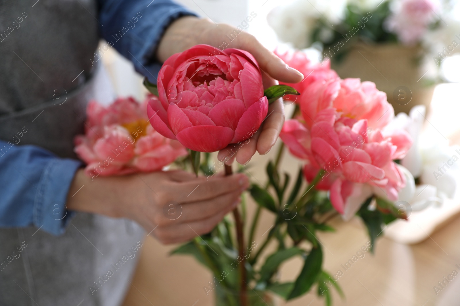 Photo of Florist making beautiful peony bouquet at table, closeup