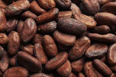 Tasty cocoa beans as background, closeup view