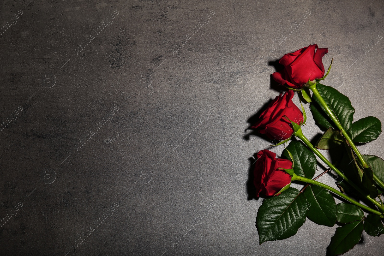 Photo of Beautiful red roses on grey background, top view. Funeral symbol