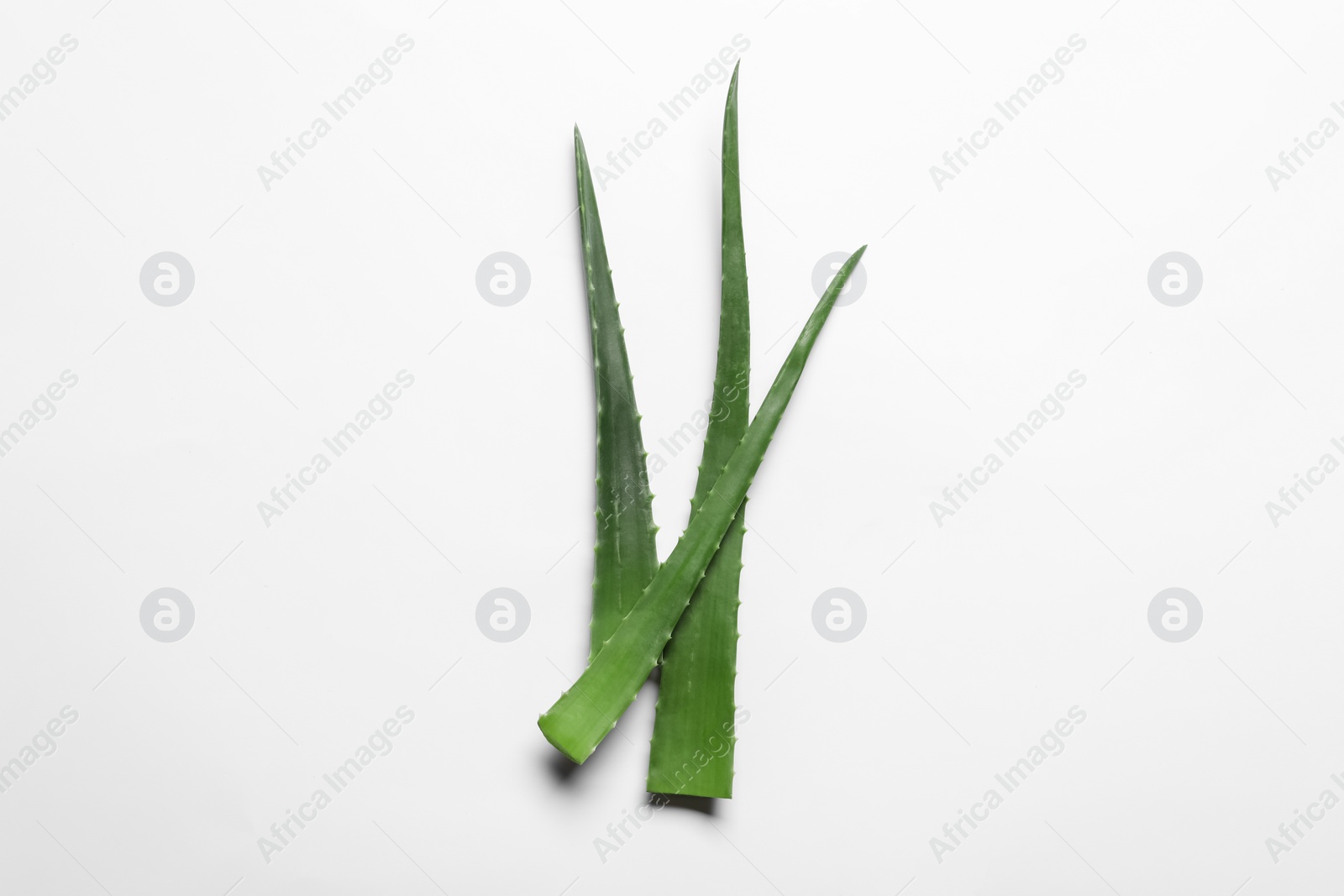 Photo of Green aloe vera leaves on white background, top view