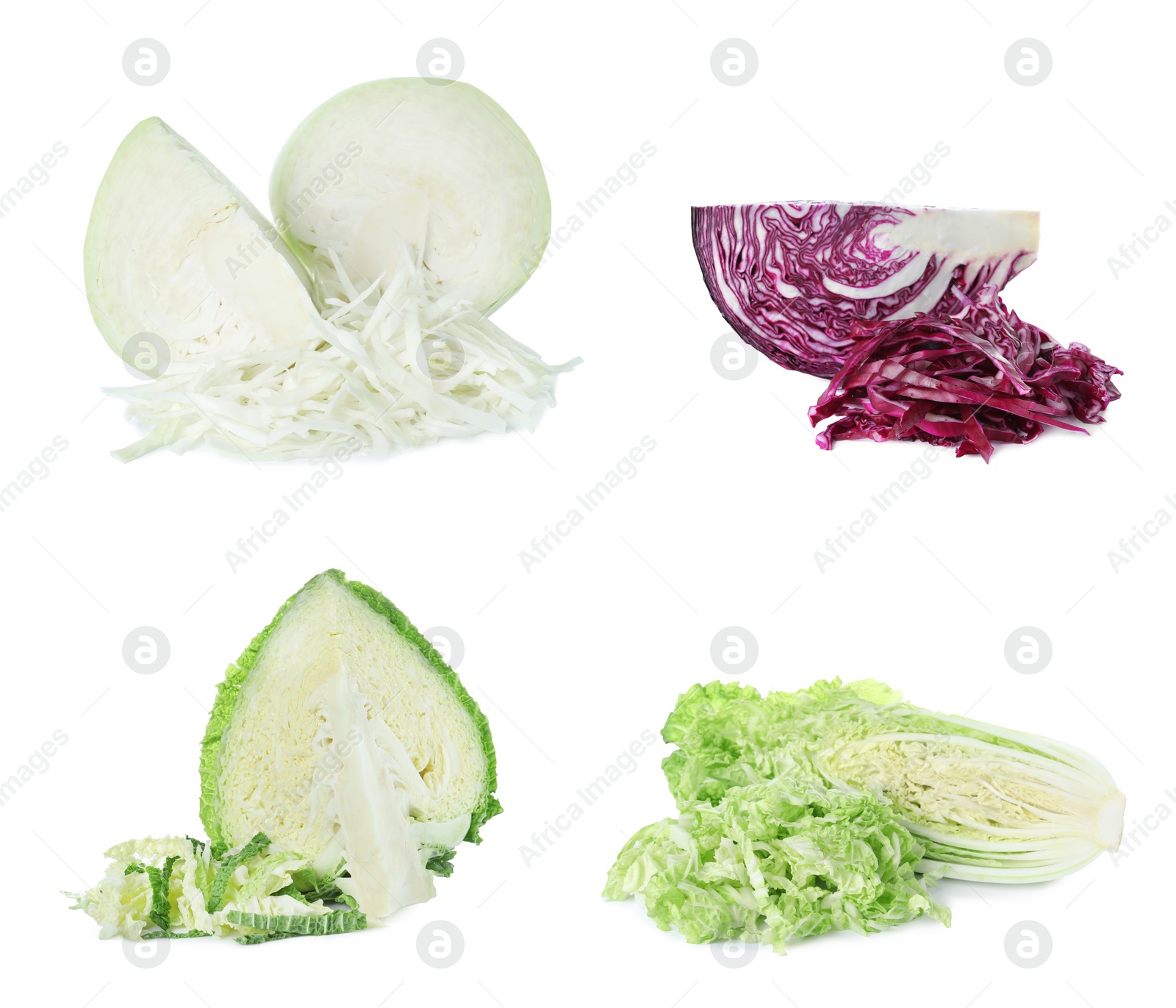 Image of Set of different fresh cabbages on white background