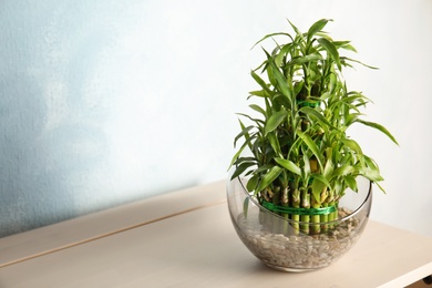Photo of Green bamboo in glass bowl on wooden table. Space for text
