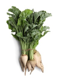 Photo of Sugar beets with leaves on white background