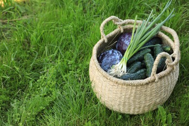 Photo of Tasty vegetables in wicker basket on green grass, space for text