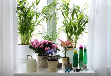 Photo of Beautiful house plants, tools and fertilizers on table indoors