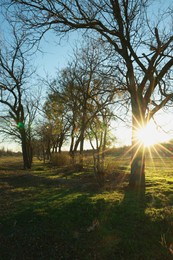 Photo of Picturesque view of beautiful countryside at sunset