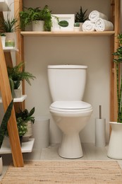 Photo of Stylish bathroom interior with toilet bowl and green plants