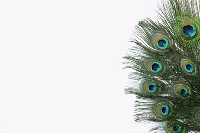 Photo of Beautiful bright peacock feathers on white background