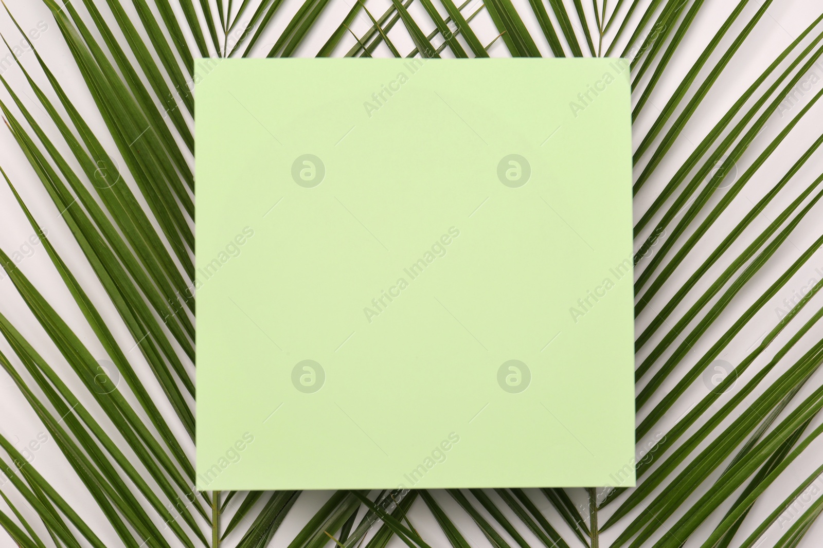 Photo of Beautiful composition with tropical leaves on light background, top view