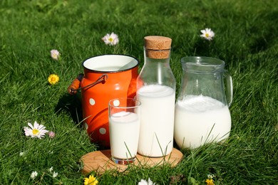 Photo of Tasty fresh milk on green grass outdoors