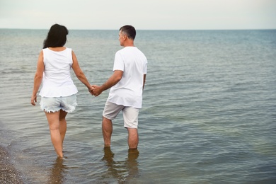 Photo of Happy mature couple walking together on sea beach. Space for text