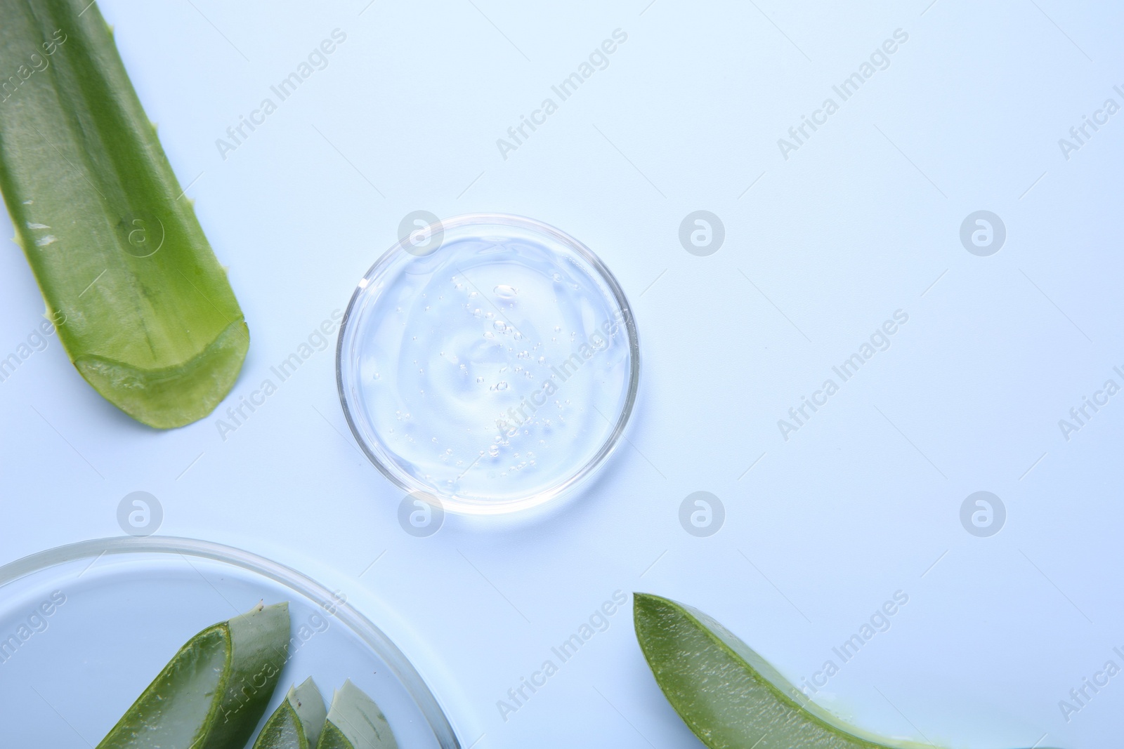 Aloe vera leaves and cosmetic gel on light blue background, top view. Space for text Photo of Aloe vera leaves and cosmetic gel on light blue background, top view. Space for text