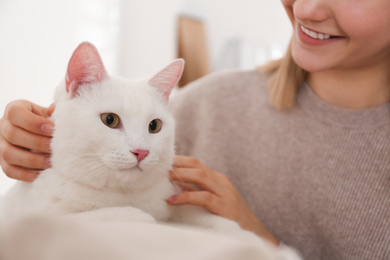 Photo of Young woman petting her beautiful white cat at home, closeup. Fluffy pet