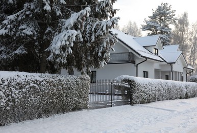 Photo of Winter landscape with beautiful houses, trees and bushes in morning