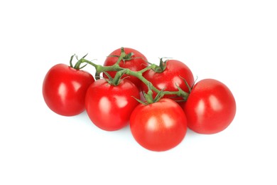 Photo of Branch of red ripe cherry tomatoes isolated on white