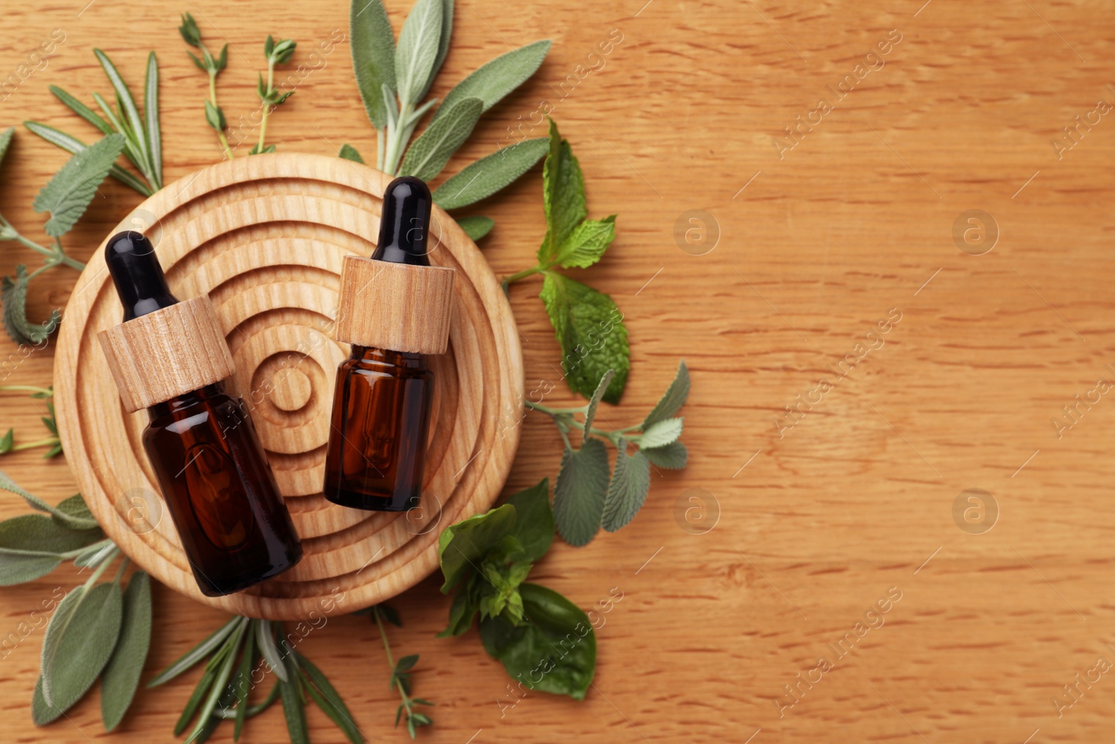 Photo of Flat lay composition with bottles of essential oils and fresh herbs, space for text