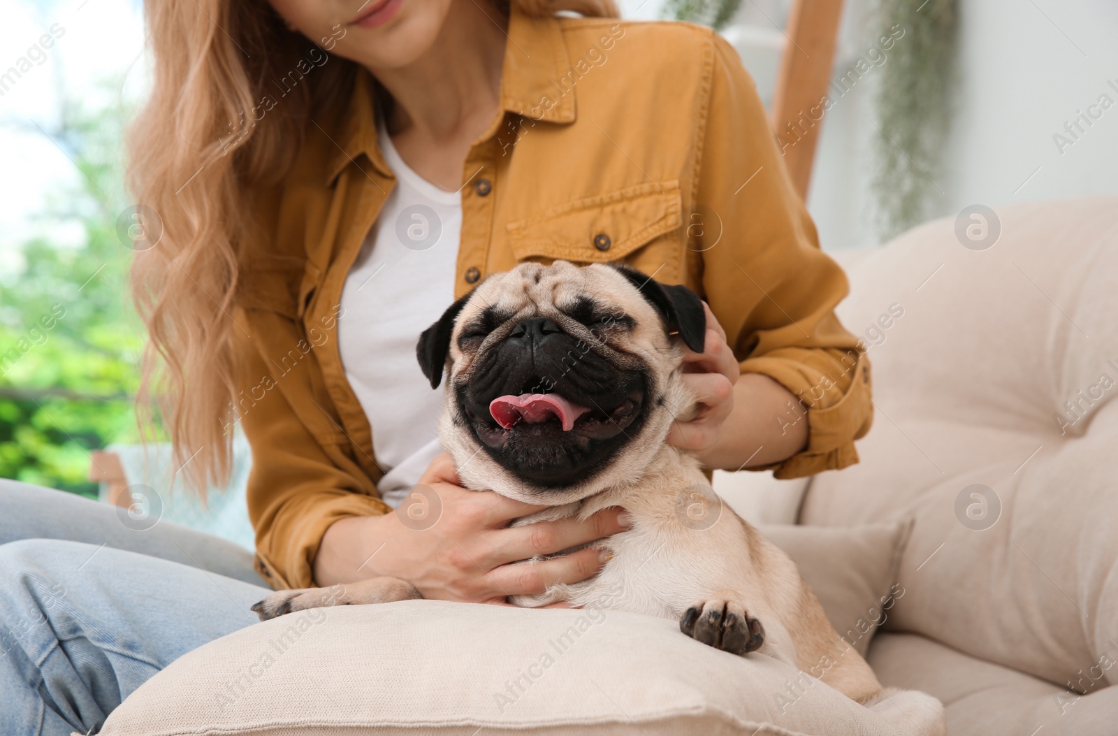 Photo of Woman with cute pug dog at home, closeup. Animal adoption