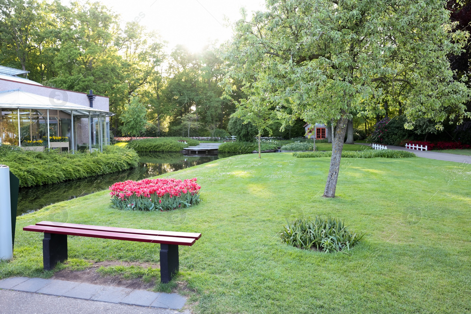 Photo of Park with different beautiful plants and water canal. Spring season