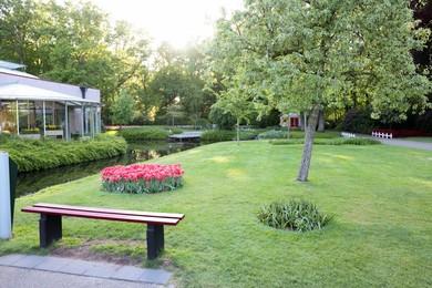 Photo of Park with different beautiful plants and water canal. Spring season