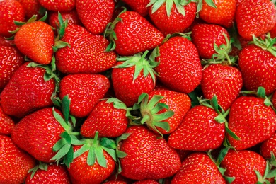 Photo of Many ripe red strawberries as background, closeup