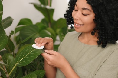 Happy woman wiping beautiful green houseplant leaves