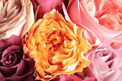 Beautiful fresh roses as background, closeup view. Floral decor